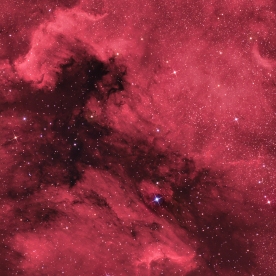 North American Pelican nebula